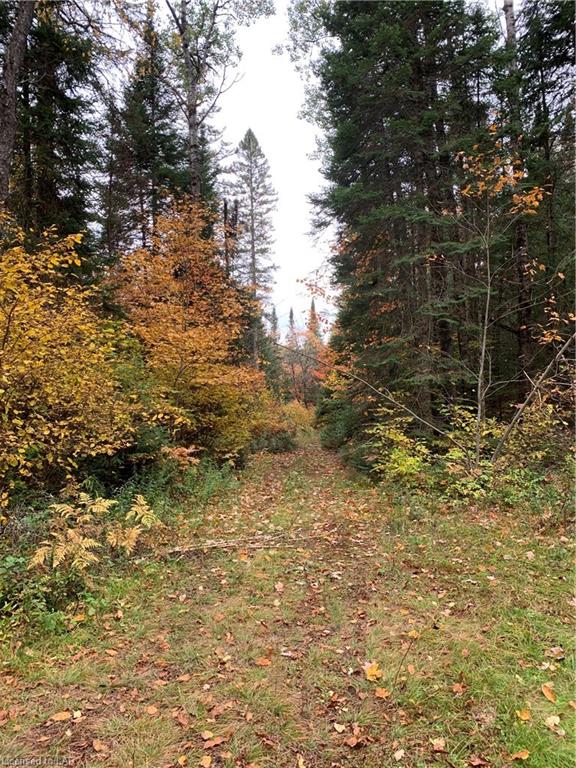 RAIN LAKE Road, Kearney, Ontario (ID 40073578)