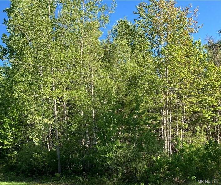 Lot Boone Road, Three Tree Creek, New Brunswick (ID NB058652)