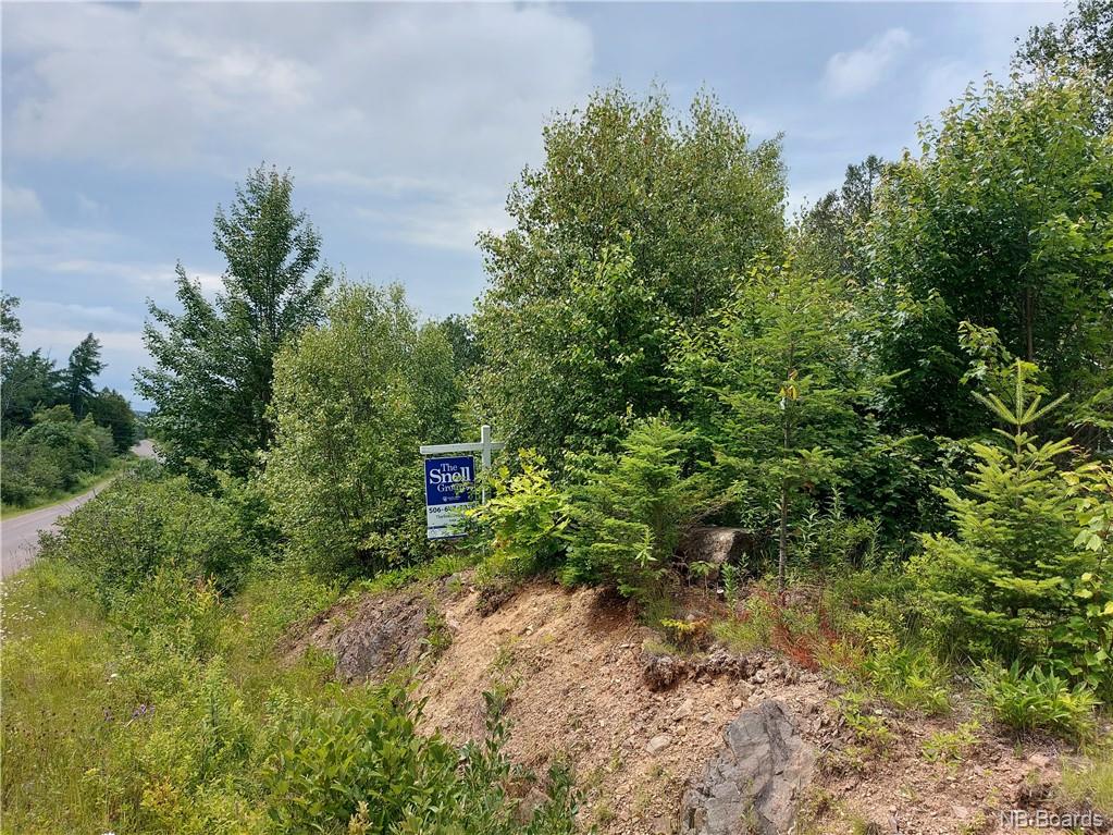 - Johnson Road, Kingston, New Brunswick (ID NB065809)