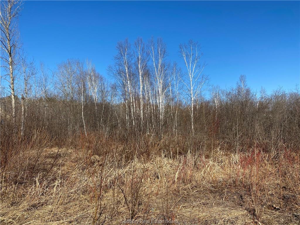Lot 3 Gordon Street, Garson, Ontario (ID 2085010)