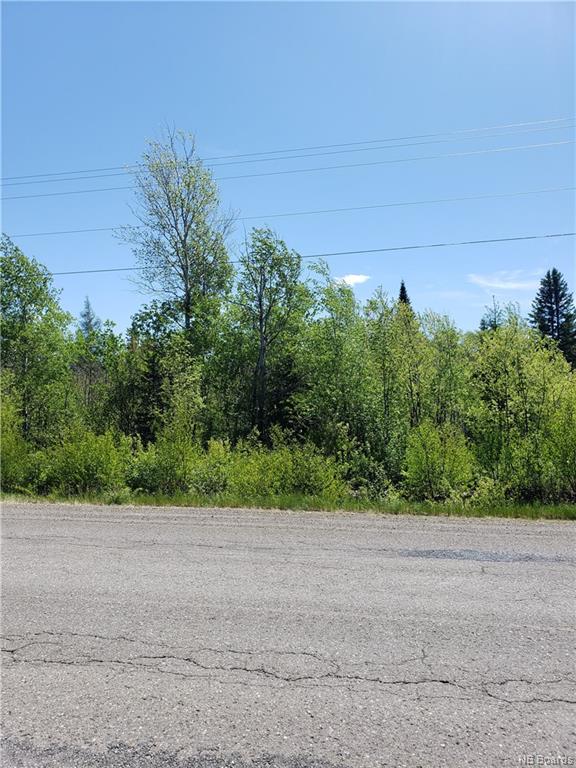 Lot Route 104, Middle Hainesville, New Brunswick (ID NB058826)