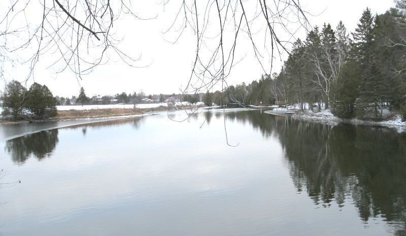 Lt 11 Macintyre Rd, Kawartha Lakes, Ontario (ID X5465122)