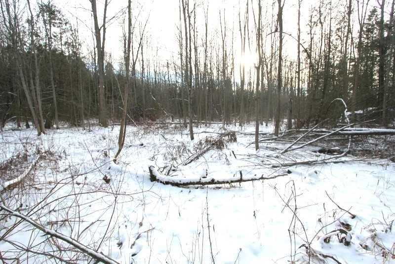 Lt 11 Macintyre Rd, Kawartha Lakes, Ontario (ID X5465122)