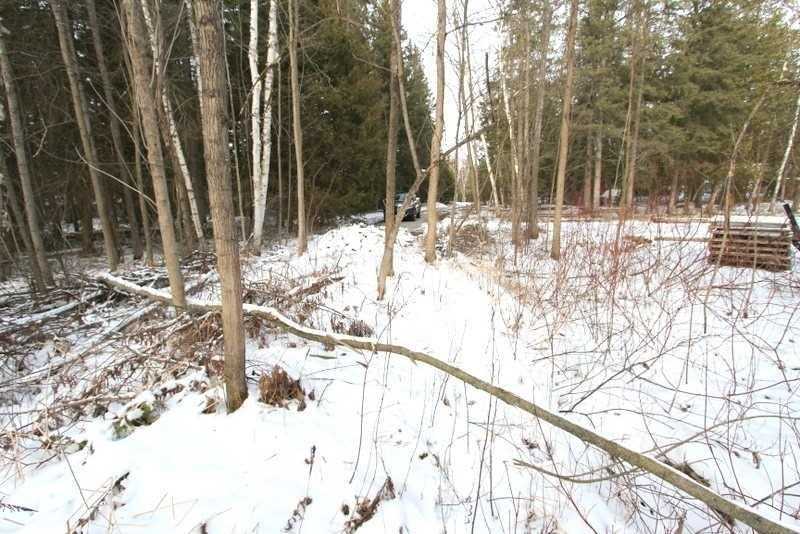 Lt 11 Macintyre Rd, Kawartha Lakes, Ontario (ID X5465122)