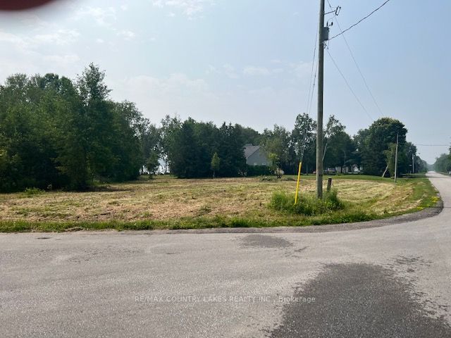 130 Pinewood Blvd, Kawartha Lakes, Ontario (ID X6629022)