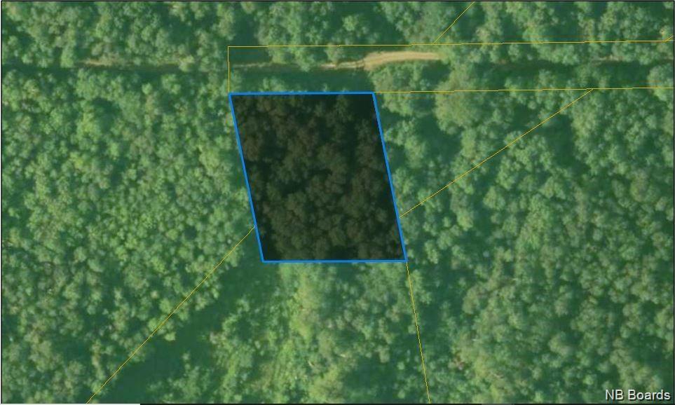-- Menzie Settlement Road, Browns Flat, New Brunswick (ID NB086206)