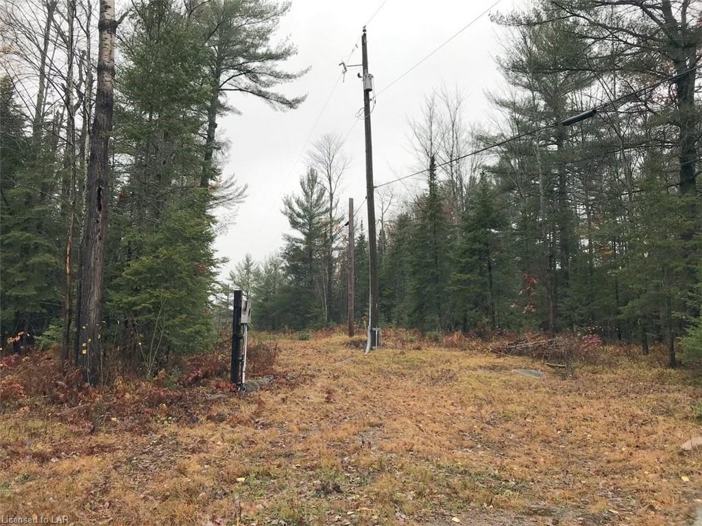 1337 GELERT Road, Minden, Ontario (ID 230129)