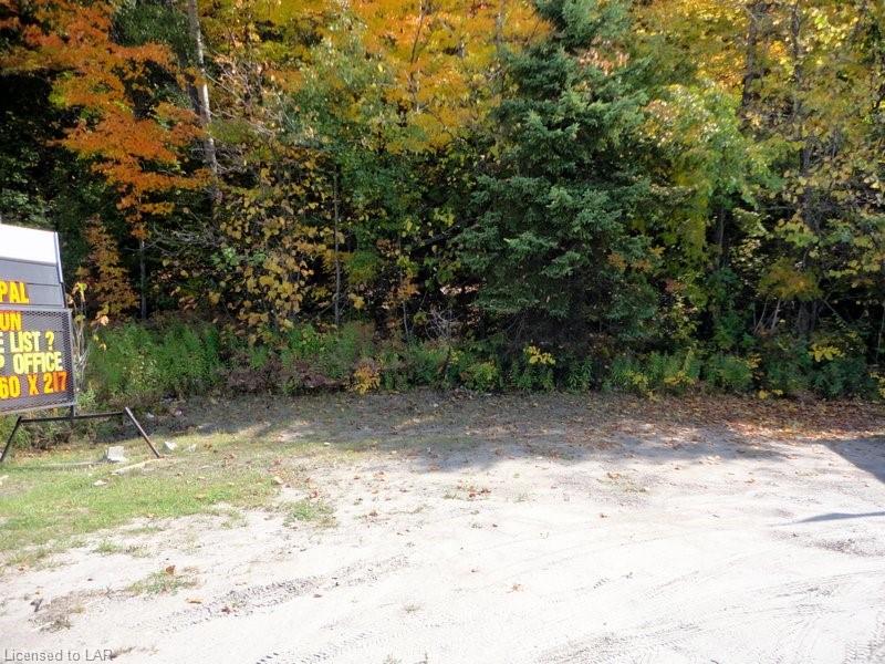 - 35 Highway, Minden, Ontario (ID 241261)