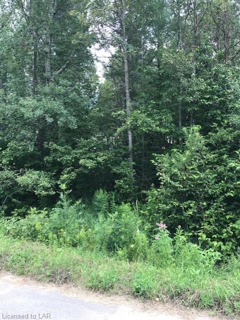 MCKNIGHT Drive, Minden, Ontario (ID 276715)