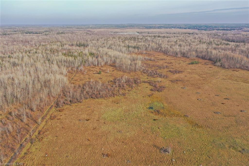 1361 CON RD 2 Concession, Ramara Township, Ontario (ID 40038488)
