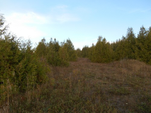 PT LOT 6 COUNTY ROAD 4, Douro-dummer Township, Ontario (ID 152201000307105)