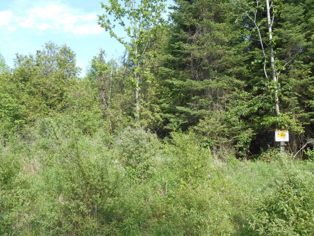 PT LOT 15 ROCK ROAD, Douro-dummer Township, Ontario (ID 152202000332516)