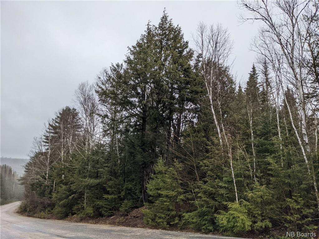 Land Amos Lane (ID NB082175)