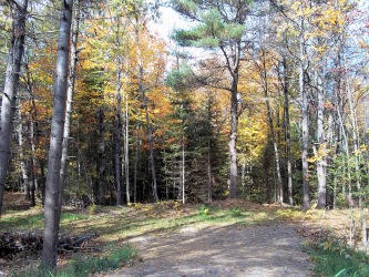 Apsley, Ontario