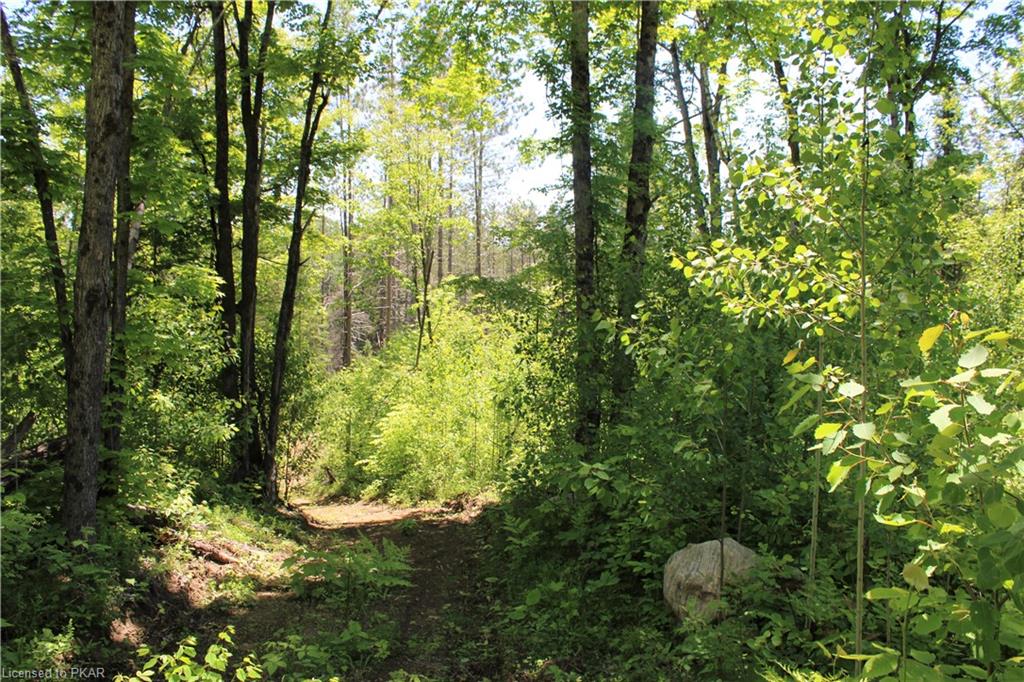 LOGGING Road, Hastings Highlands, Ontario (ID 40045978)