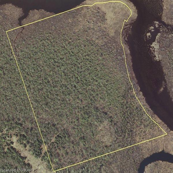 N 1/2 LT 21 CON 4, Coe Hill, Ontario (ID 40055369)