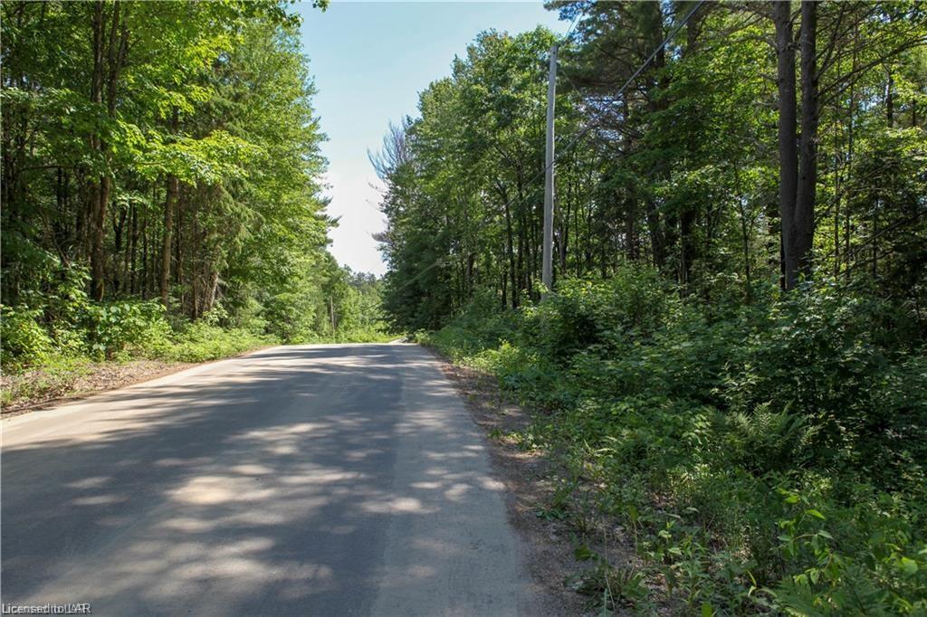 NA PROPECT LAKE Road, Bracebridge, Ontario (ID 239819)