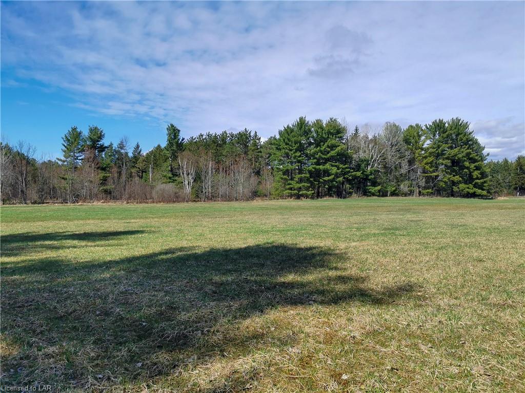 1255 MUSKOKA RD 169 Highway, Gravenhurst, Ontario (ID 40099596)