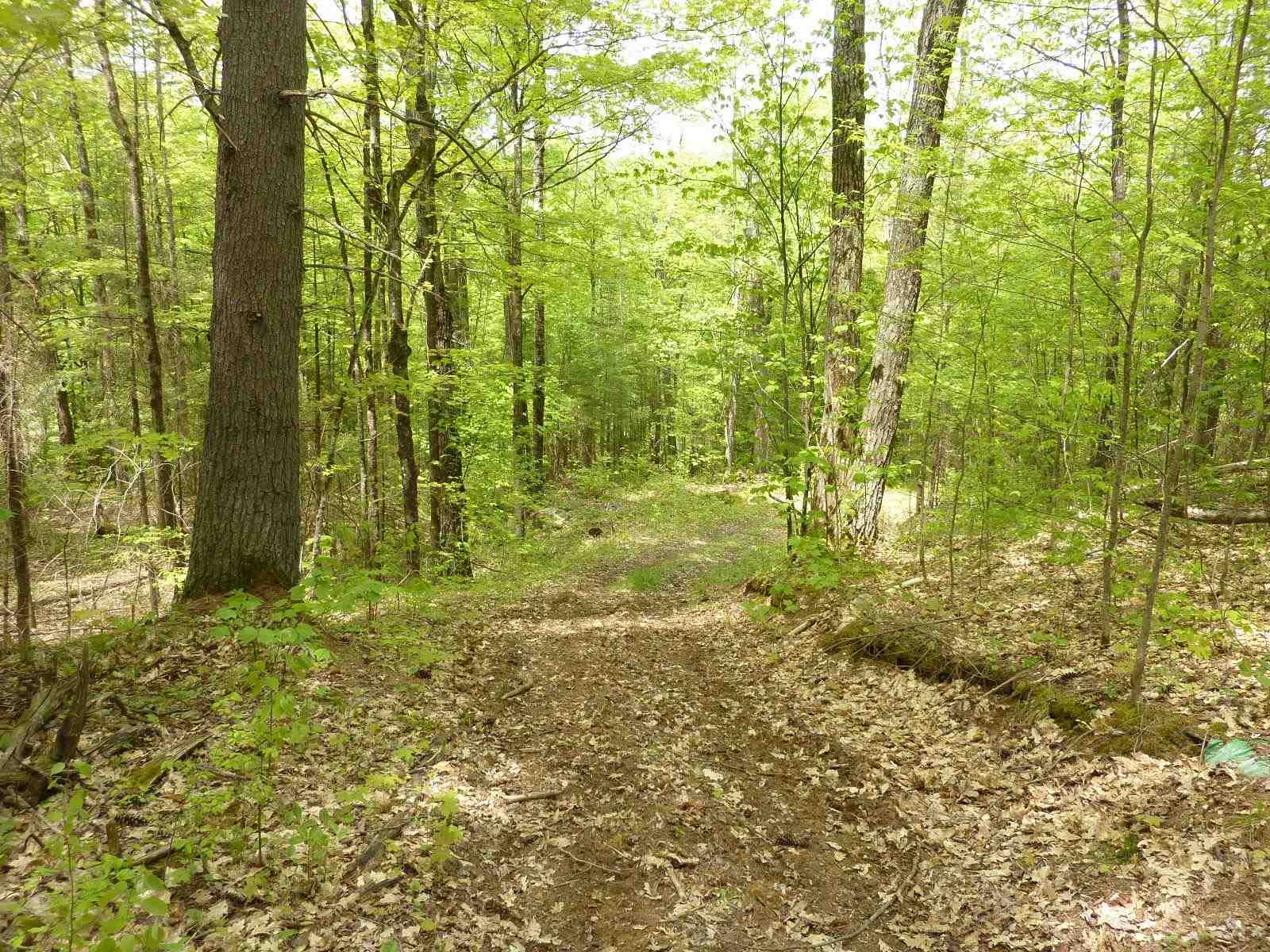Lewis Road, Central Frontenac, Ontario (ID K21003243)