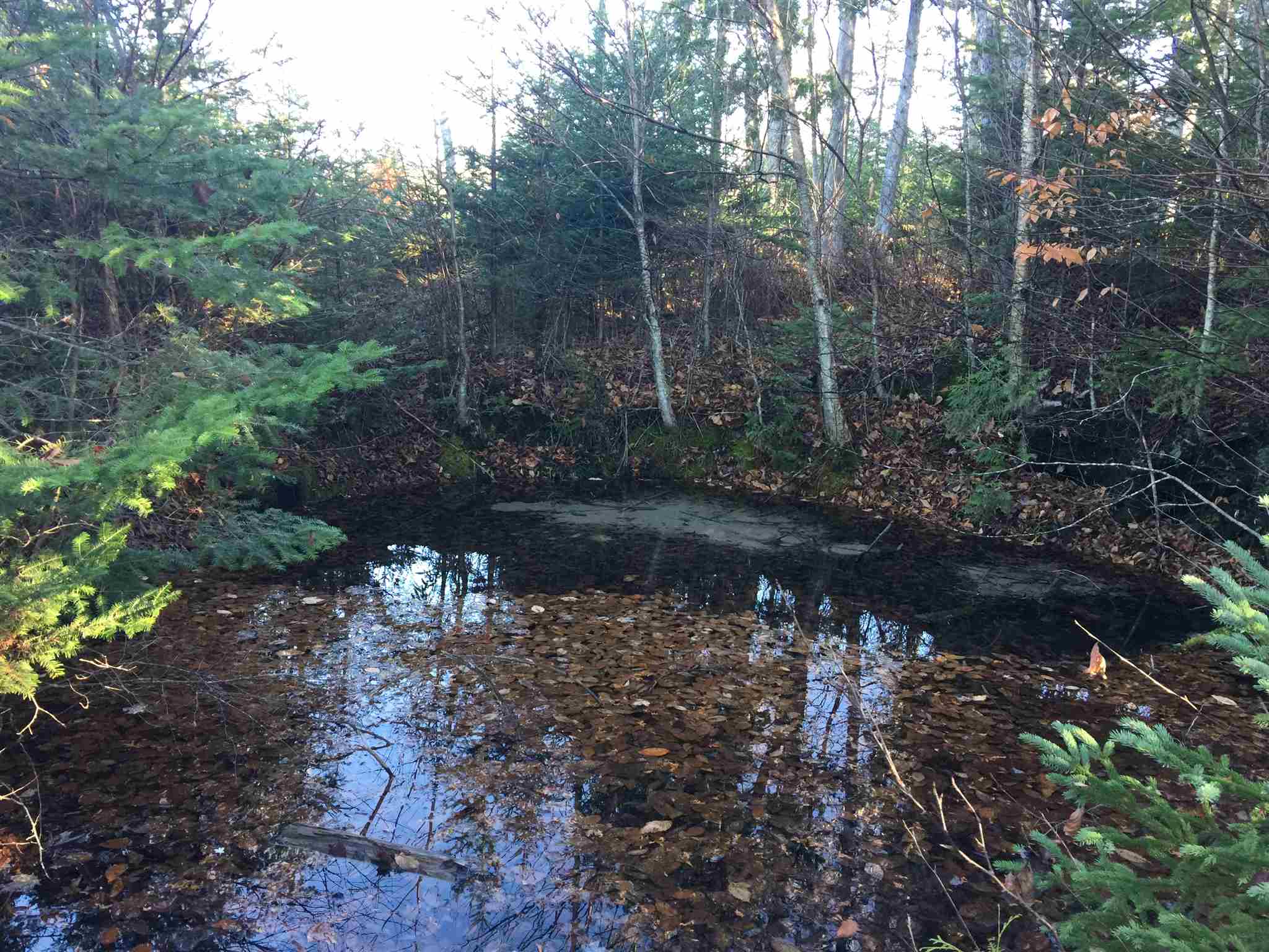 2559 Q AND R LINE Road, St. Joseph Island, Ontario (ID SM128387)