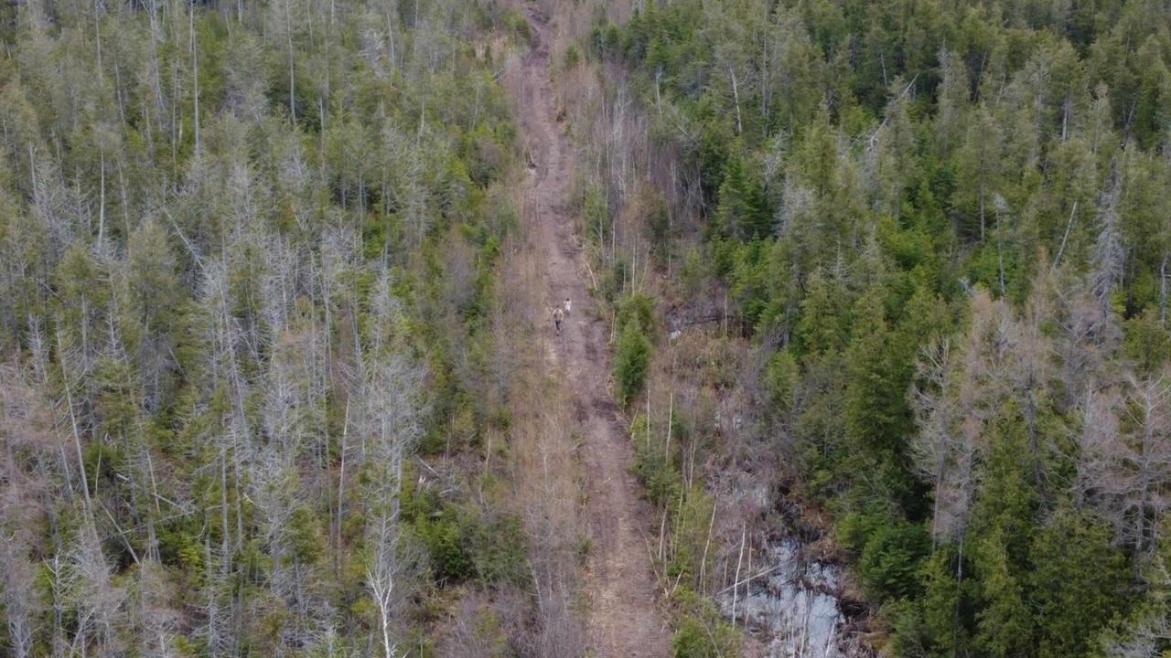 Lot 1 Con 1 A Line Road, Jocelyn, Ontario (ID SM133705)