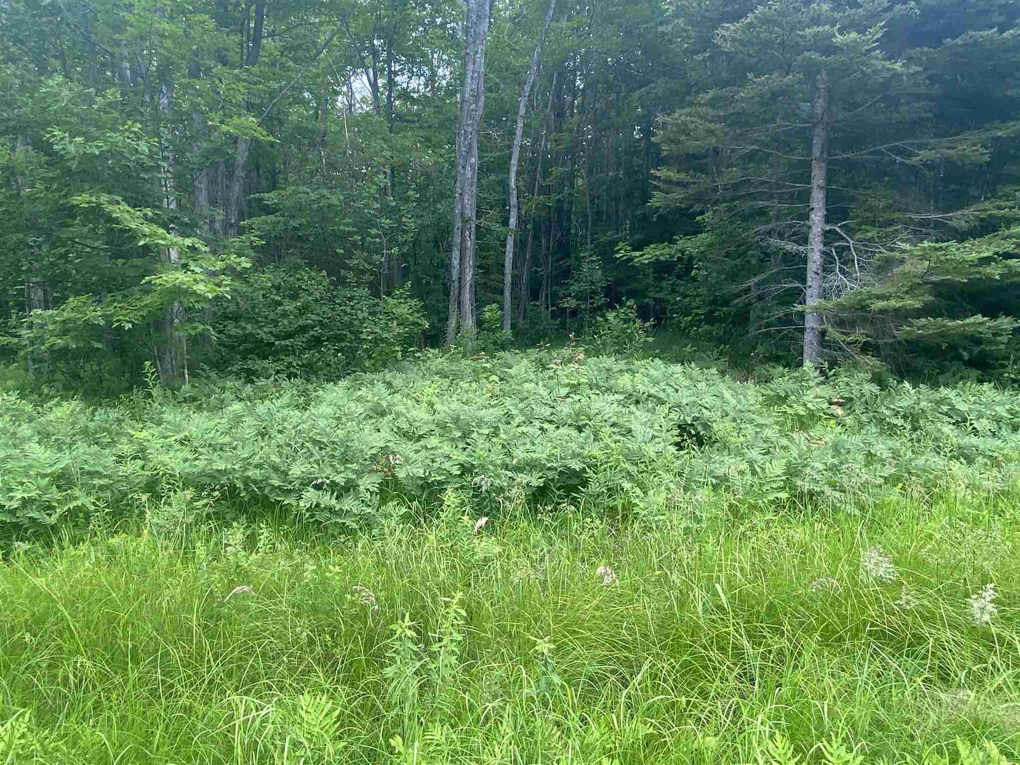 PCL 6795 A Line Road, St. Joseph Island, Ontario (ID SM230703)