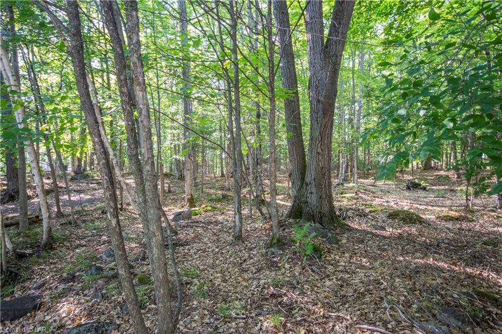 SUNNYSIDE Street, Haliburton, Ontario (ID 274862)