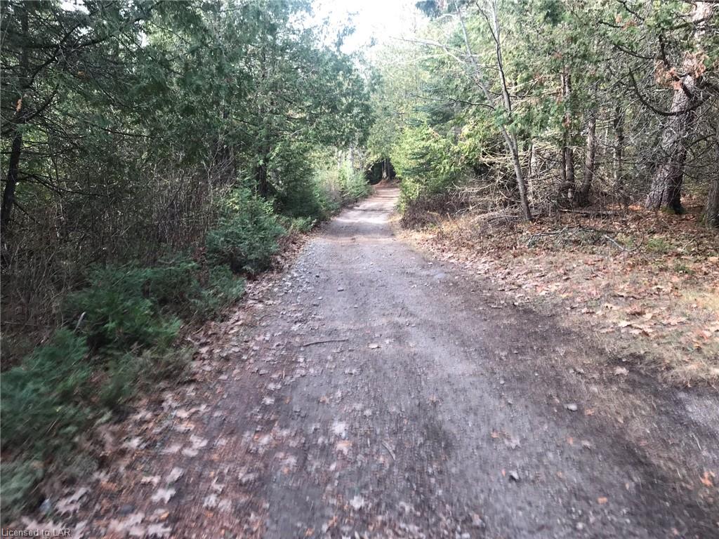 REID Road, Kinmount, Ontario (ID 40041786)