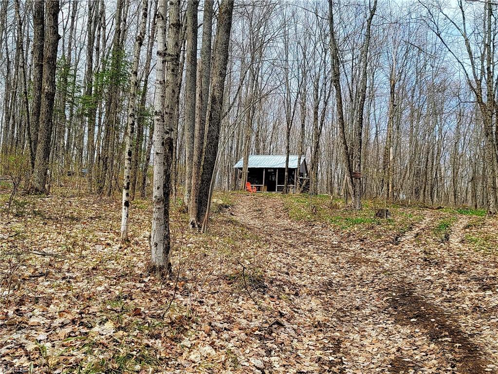 GELERT Road, Haliburton, Ontario (ID 40107253)