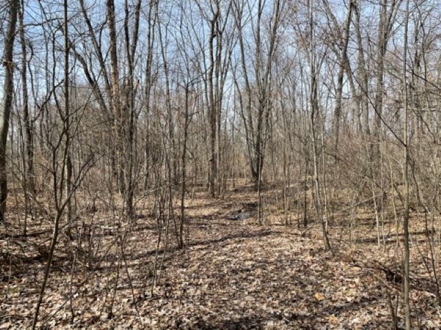 Hughes Lane, Tweed, Ontario (ID K21001675)