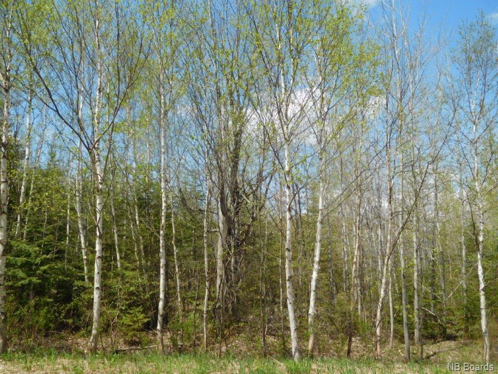 Lot 21-02 Thompson Road, Kierstead Mountain, New Brunswick (ID NB055359)