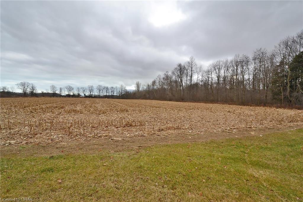 11650 CATHERINE Street, West Lorne, Ontario (ID 169136)