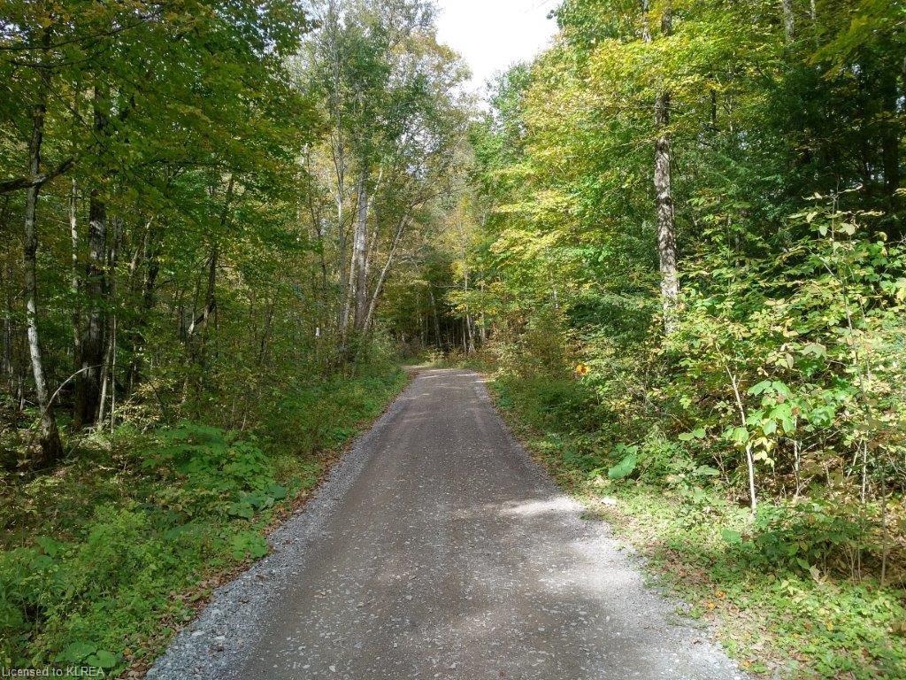 off Loom Lake Road/Forest Access, Kinmount, Ontario (ID 157184)