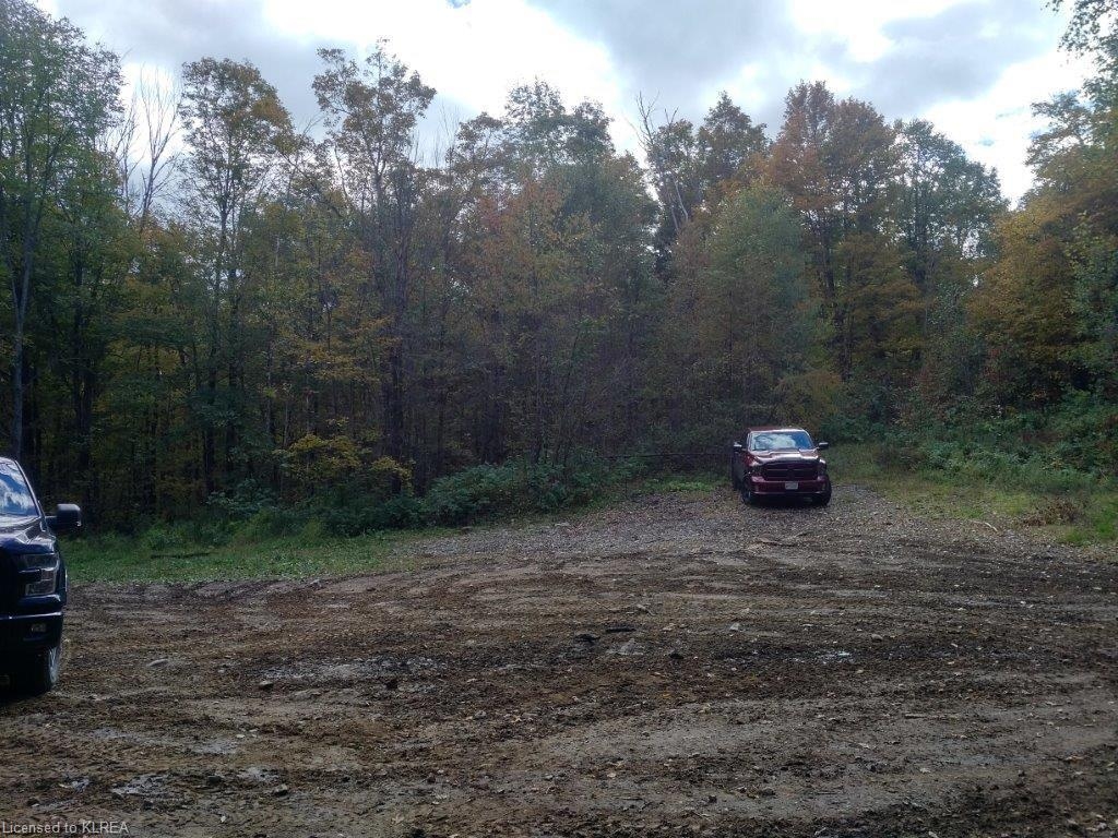 off Loom Lake Road/Forest Access, Kinmount, Ontario (ID 157184)