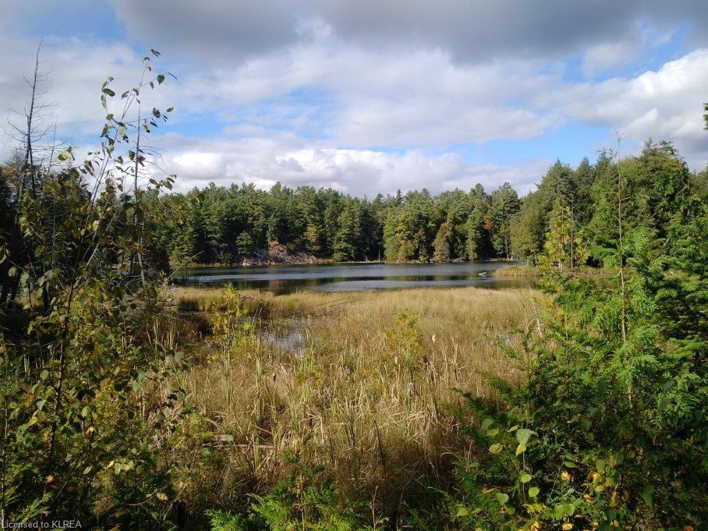 off Loom Lake Road/Forest Access, Kinmount, Ontario (ID 157184)