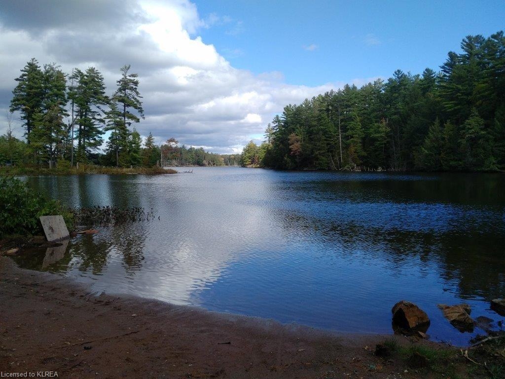off Loom Lake Road/Forest Access, Kinmount, Ontario (ID 157184)