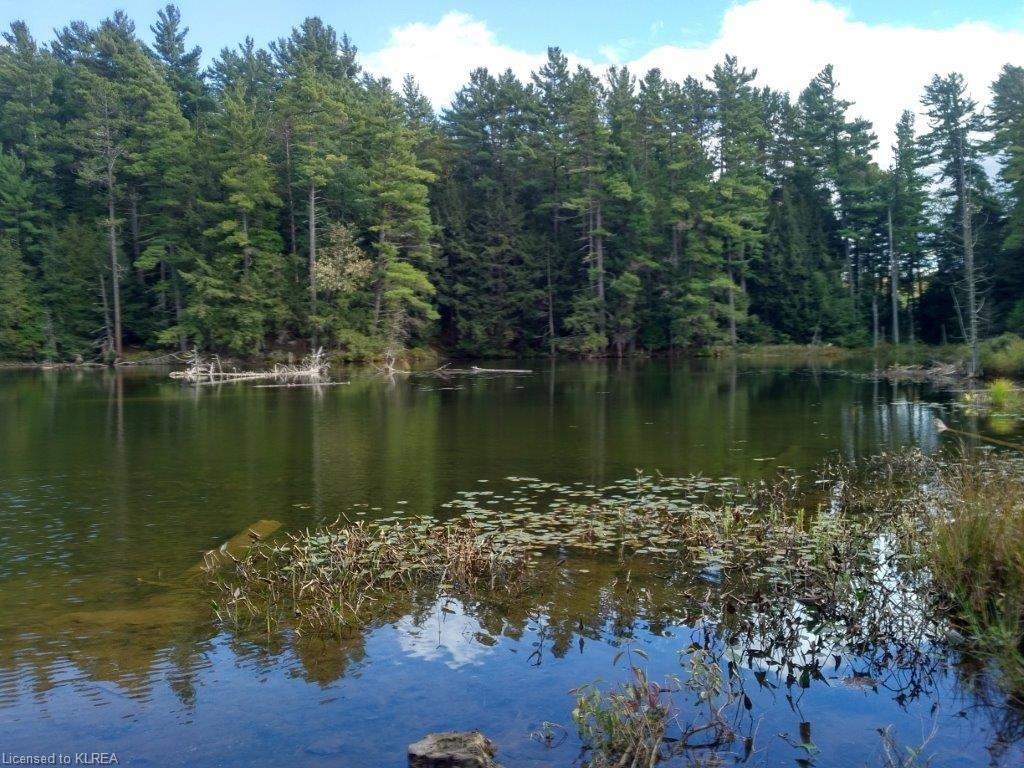 off Loom Lake Road/Forest Access, Kinmount, Ontario (ID 157184)