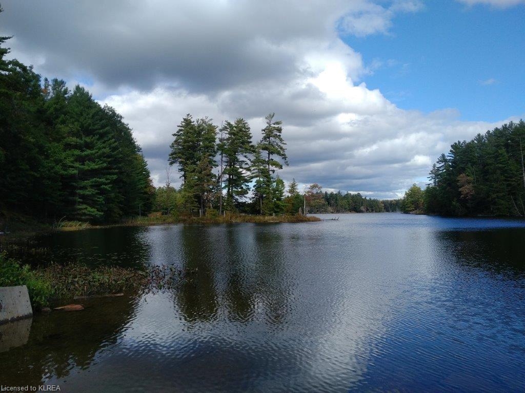 off Loom Lake Road/Forest Access, Kinmount, Ontario (ID 157184)