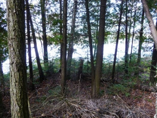 LOT 7 CREGO LAKE RD, Kinmount, Ontario (ID 1235878)
