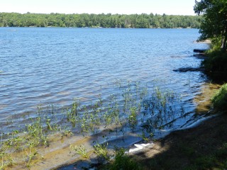 LOT 7 CREGO LAKE RD, Kinmount, Ontario (ID 1235878)