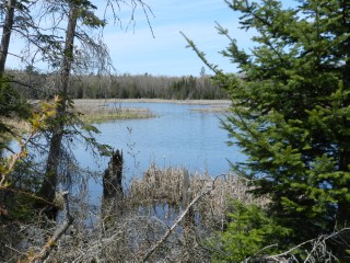 BULLER RD (ID 1236682)