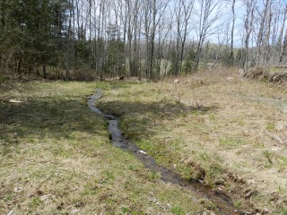 BULLER RD (ID 1236682)