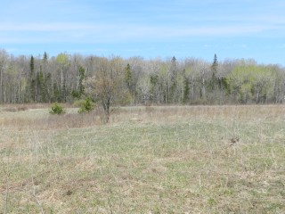 BULLER RD (ID 1236682)