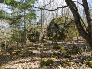 BULLER RD (ID 1236682)