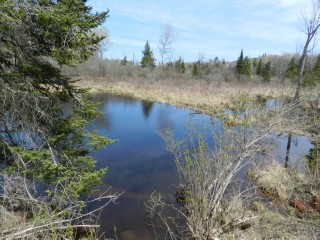 BULLER RD (ID 1236682)