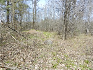 BULLER RD (ID 1236682)