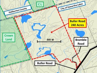 BULLER RD (ID 1236682)