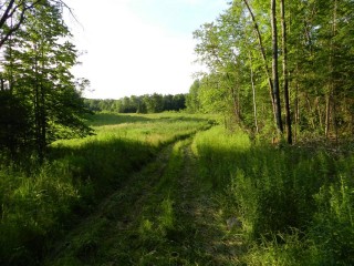 BULLER RD (ID 1236682)