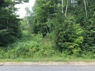 3291 Musclow Greenview Rd, Bancroft, Ontario (ID 197003)