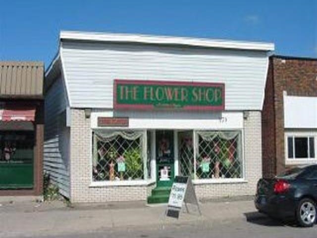 179 Gore Street, Sault Ste. Marie, Ontario (ID SM230173)